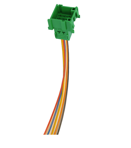 FMS Stecker Male mit 12 Litzen 20cm
